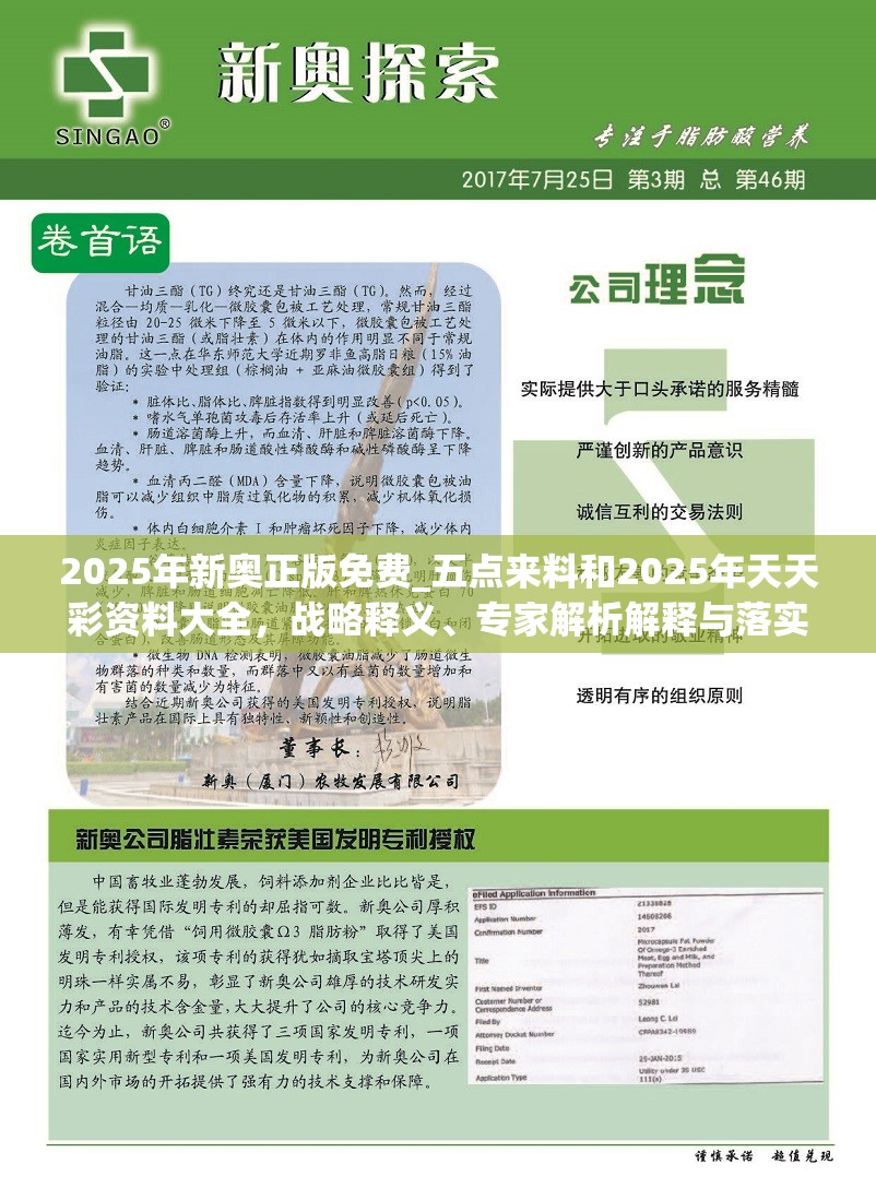 2025年新奥正版免费_五点来料和2025年天天彩资料大全，战略释义、专家解析解释与落实,留心欺诈性营销