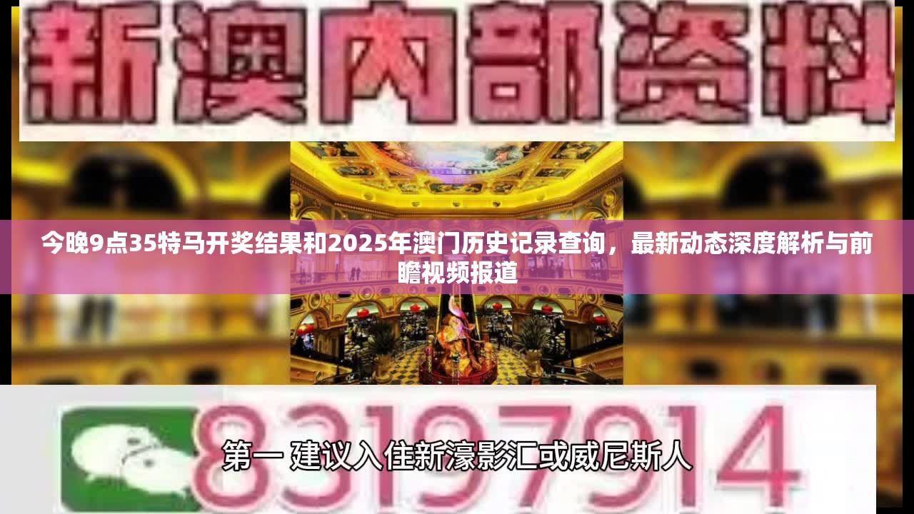 今晚9点35特马开奖结果和2025年澳门历史记录查询，最新动态深度解析与前瞻视频报道
