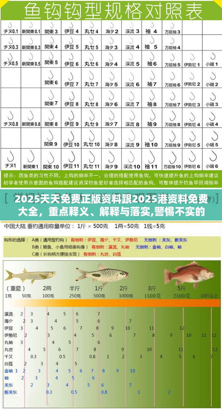 2025天天免费正版资料跟2025港资料免费大全，重点释义、解释与落实,警惕不实的钓鱼钩