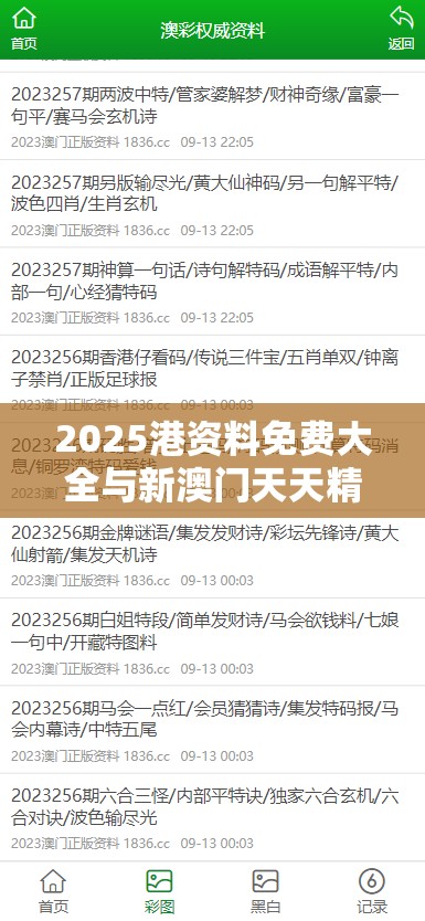 2025港资料免费大全与新澳门天天精准大全谜语，效果解读、专家解析解释与落实
