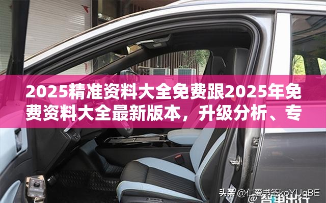 2025精准资料大全免费跟2025年免费资料大全最新版本，升级分析、专家解读解释与落实,谨防华而不实包装