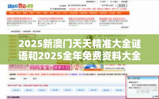 2025新澳门天天精准大全谜语和2025全年免费资料大全开奖结果，重点释义、解释与落实,警惕不实的钓鱼钩