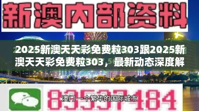 最新动态深度解析与前瞻视频报道