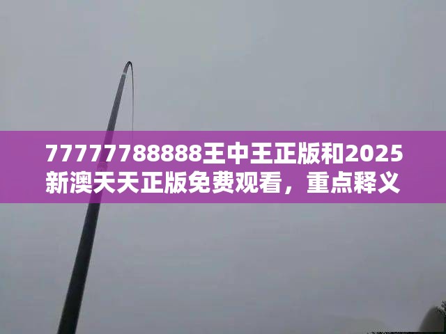 王中王正版
